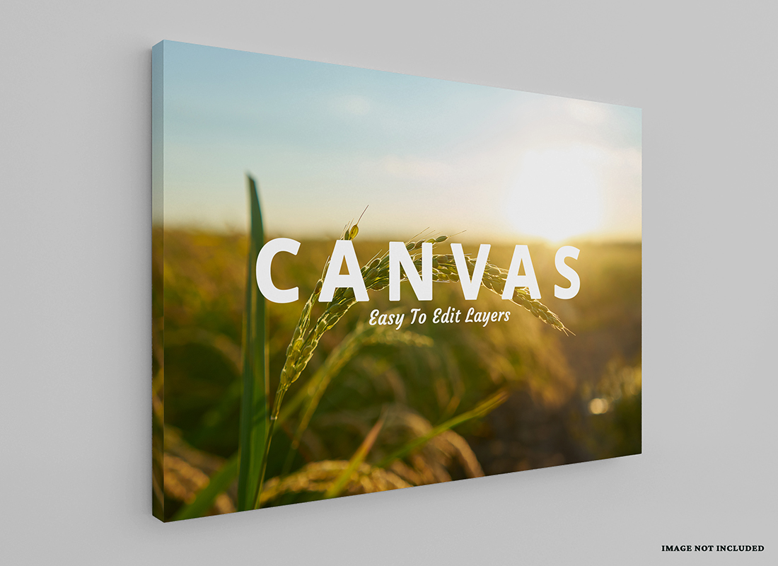 Canvas Prints & Wall Art